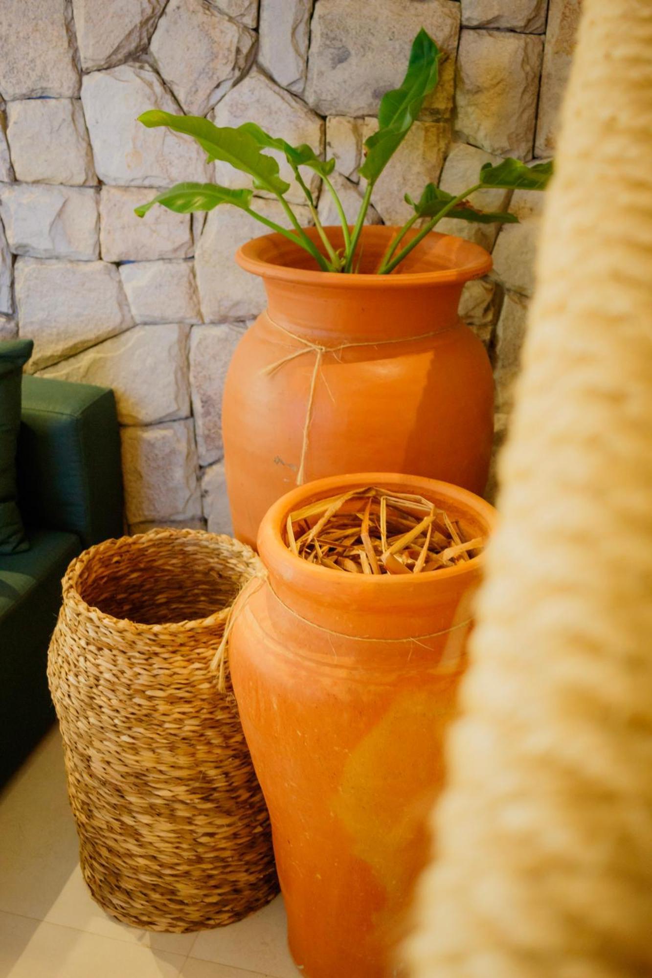 Kasa Milagres - Rota Ecologica Dos Milagres Villa Sao Miguel dos Milagres Ngoại thất bức ảnh
